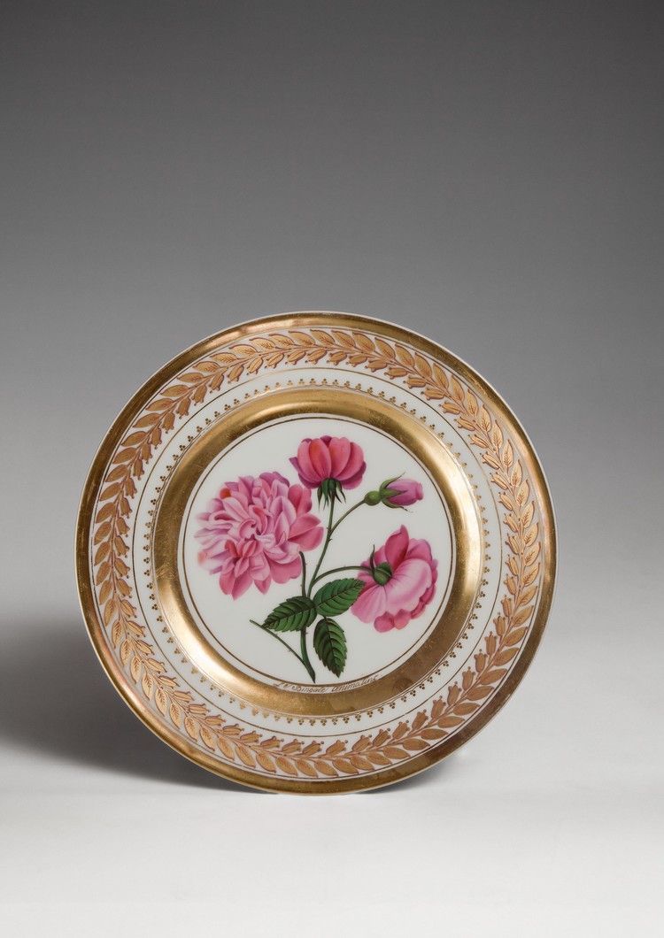 Dishes from the Roses series (after Pierre-Joseph Redouté’s botanical atlas) - фото, ракурс 3