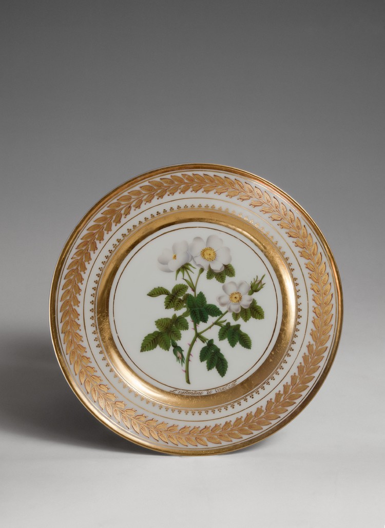 Dishes from the Roses series (after Pierre-Joseph Redouté’s botanical atlas) - фото, ракурс 7